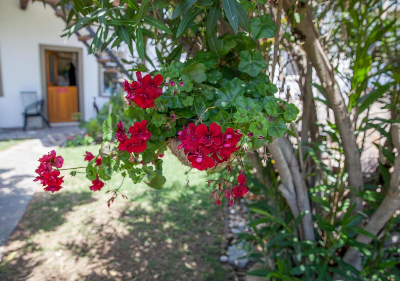 Stay Cleverly Self Catering Apartments Walvis Bay Esterno foto